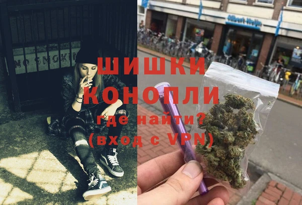 молекула духа Верхний Тагил