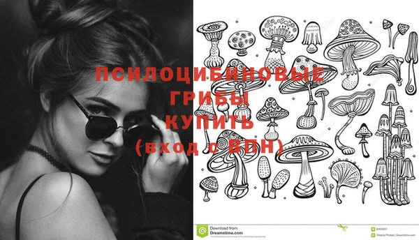 молекула духа Верхний Тагил