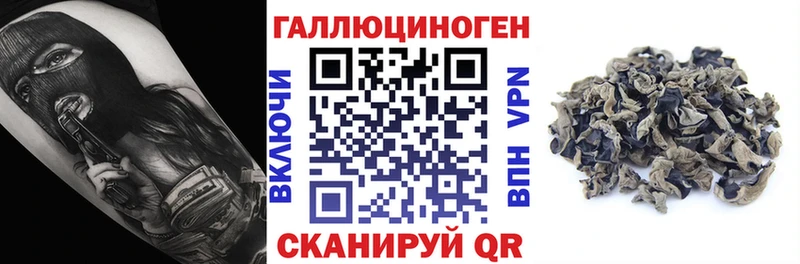 наркотики  ссылка на мегу онион  Галлюциногенные грибы прущие грибы  Абакан 